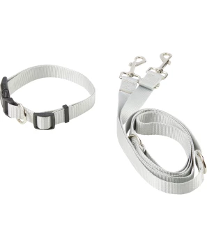 Hundeleine + Hundehalsband