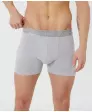 retro-boxershorts-silber-116676240500_4050_NB_M_EP_01.jpg