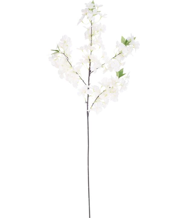 kunstzweig-rosa-1166867_1538_HB_H_EP_02.jpg