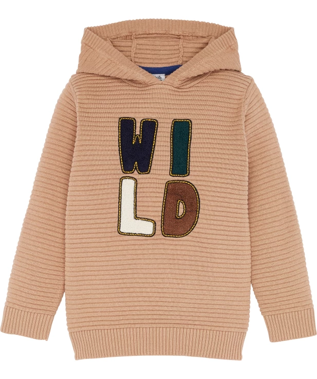 jungen-pullover-mit-kapuze-braun-1172049_2014_HB_L_EP_01.jpg