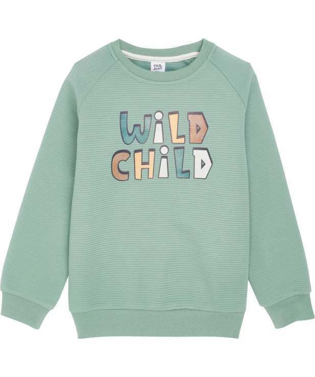 jungen-pullover-mintgruen-1172096_1830_HB_L_EP_01.jpg