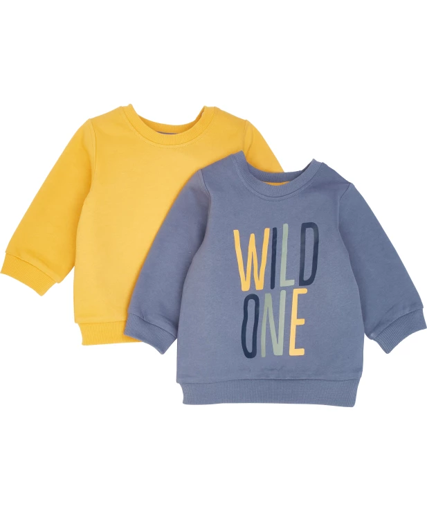 babys-sweatshirts-grau-1172273_1107_HB_L_EP_01.jpg