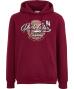 sweatpullover-dunkelrot-1172347_1513_HB_B_EP_01.jpg