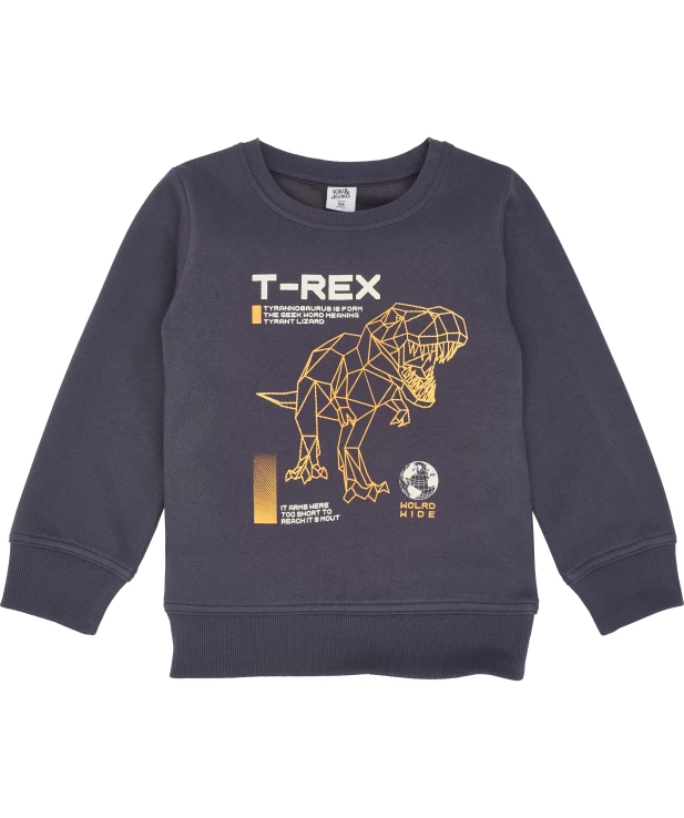 jungen-sweatshirt-dunkelgrau-1172385_1114_HB_L_EP_01.jpg