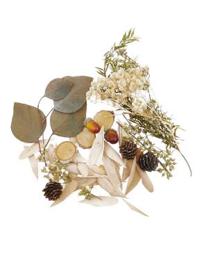 Potpourri