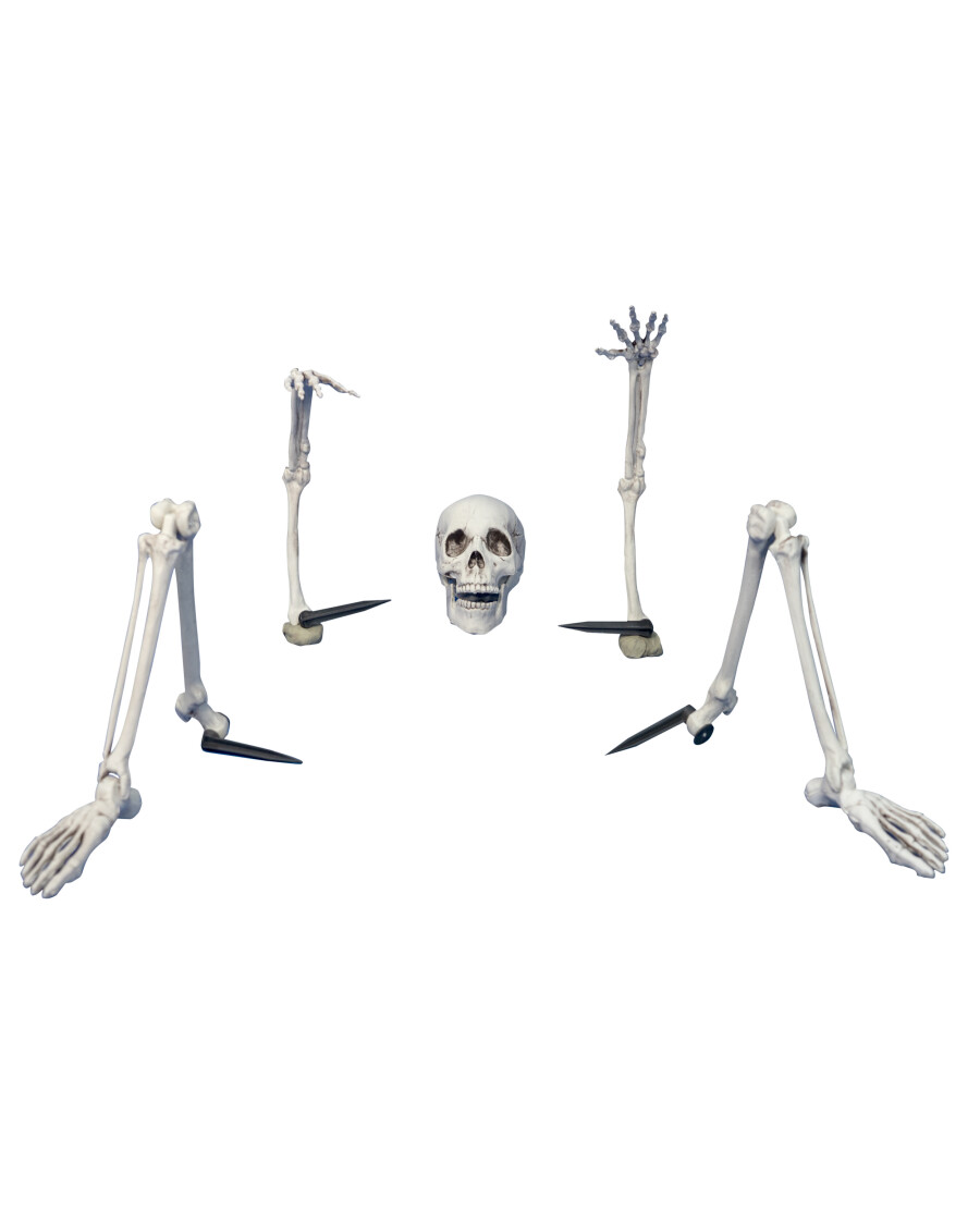 deko-skelett-grau-1173355_1107_HB_L_KIK_01.jpg