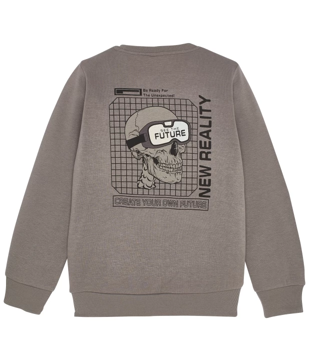 jungen-cooles-sweatshirt-grau-1173529_1107_NB_L_EP_02.jpg