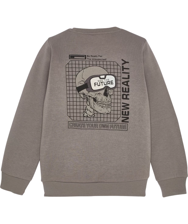 jungen-cooles-sweatshirt-grau-1173529_1107_NB_L_EP_02.jpg