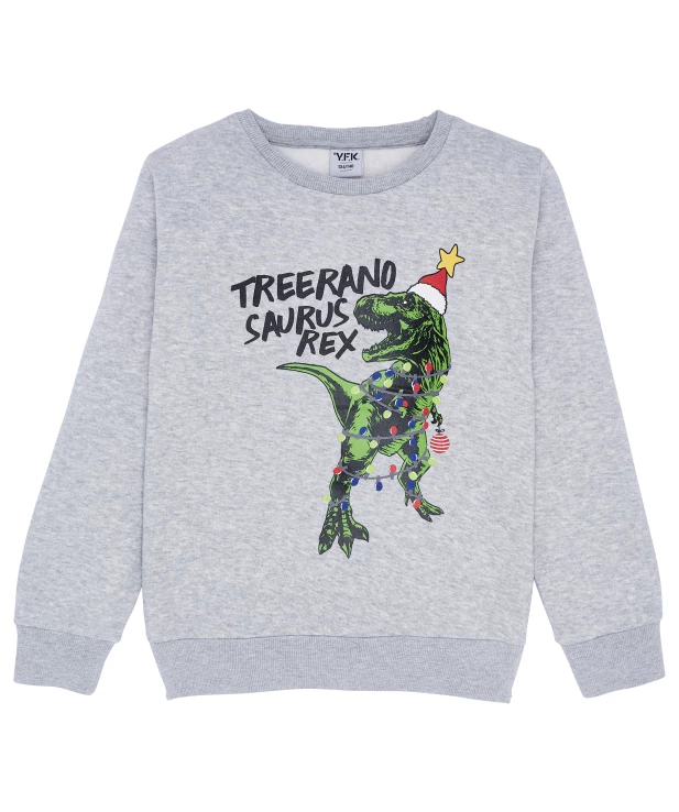 jungen-sweatshirt-weihnachten-grau-melange-1173629_1108_HB_H_EP_01.jpg