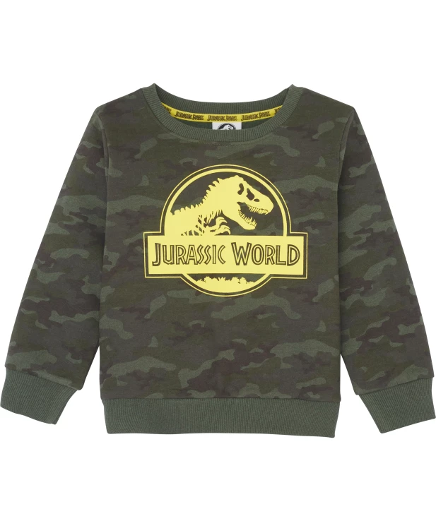 jungen-sweatshirt-dunkelgruen-1174065_1816_HB_L_EP_01.jpg