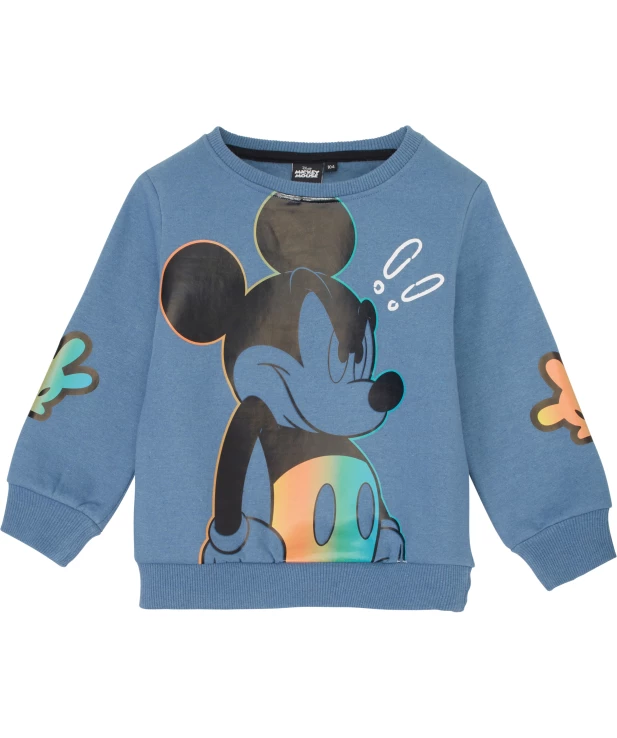 jungen-sweatshirt-blau-1174093_1307_HB_L_EP_01.jpg