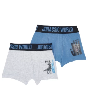Jurassic World Retro Boxershorts