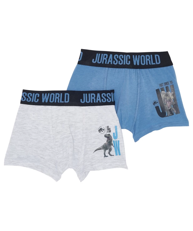 jungen-jurassic-world-retro-boxershorts-blau-117667913070_1307_HB_L_EP_01.jpg