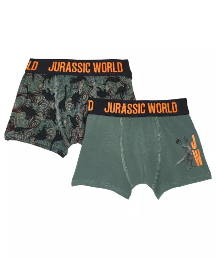 Jurassic World Retro Boxershorts