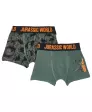Jurassic World Retro Boxershorts