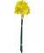 Kunstblume Narzisse gelb