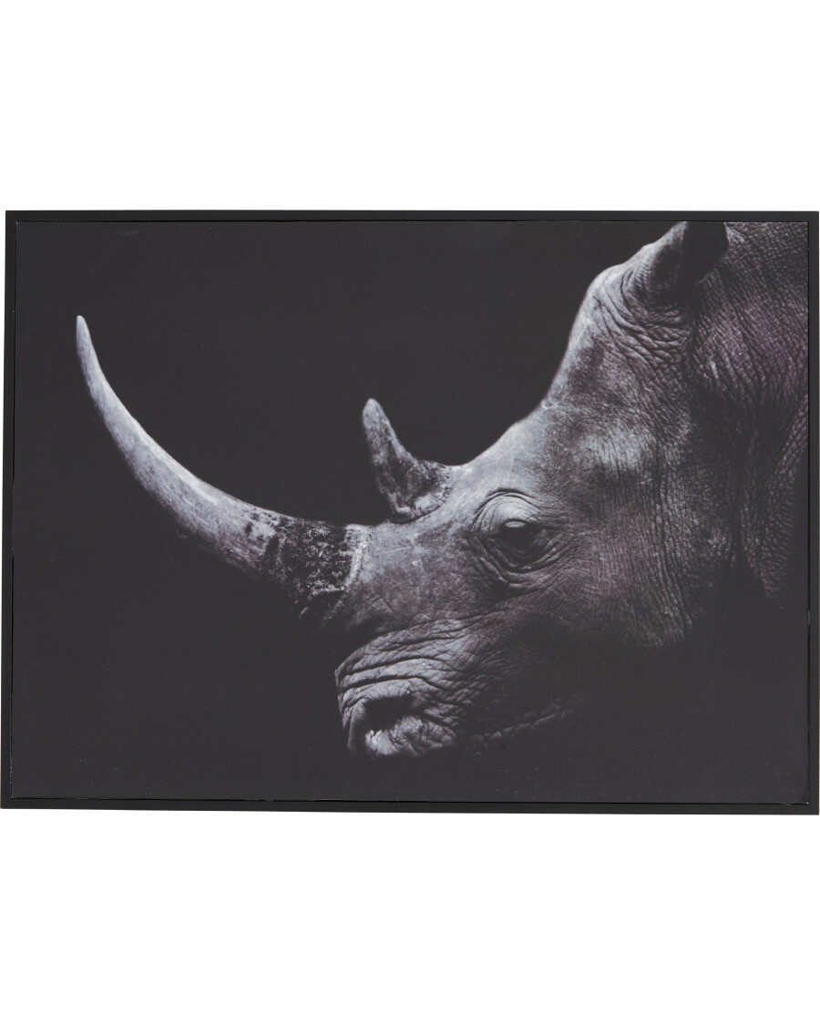 wandbild-mit-tiermotiv-schwarz-1179622003_1000_HB_H_EP_01.jpg