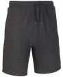 Sweatshorts in Anthrazit