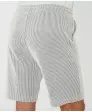 gestreifte-shorts-grau-gestreift-118024111100_1110_DB_M_EP_01.jpg