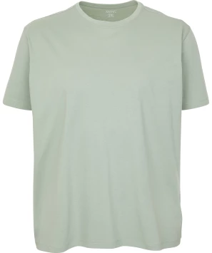 Basis T-shirt