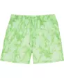 batik-badeshorts-neon-gruen-118040318440_1844_HB_L_EP_01.jpg