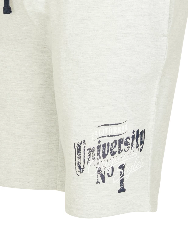 sweatshorts-mit-print-hellgrau-118044211000_1100_DB_B_EP_01.jpg