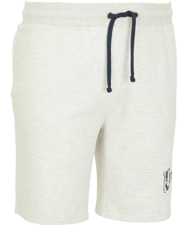 sweatshorts-mit-print-hellgrau-118044211000_1100_HB_B_EP_01.jpg