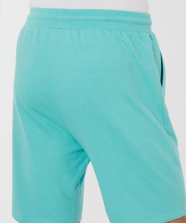 sweatshorts-in-tuerkis-tuerkis-melange-118085713290_1329_DB_M_EP_01.jpg