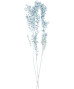 trockenblumen-maeusedorn-hellblau-melange-118178713010_1301_HB_H_EP_01.jpg