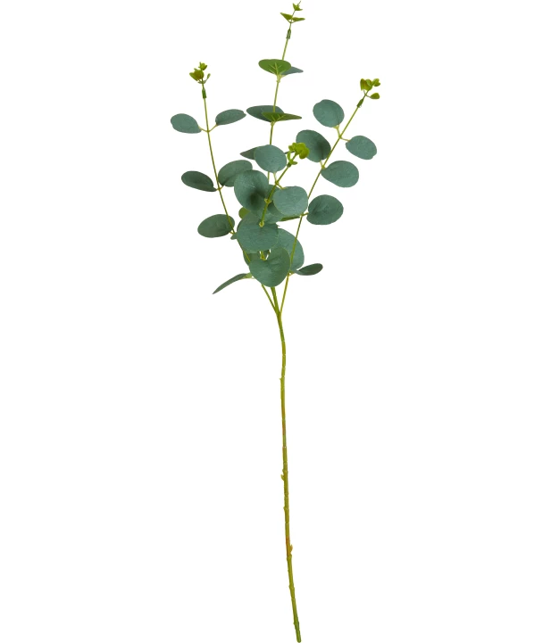 kunstpflanze-eukalyptus-gruen-118265318070_1807_HB_H_EP_01.jpg