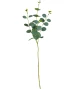 kunstpflanze-eukalyptus-gruen-118265318070_1807_HB_H_EP_01.jpg