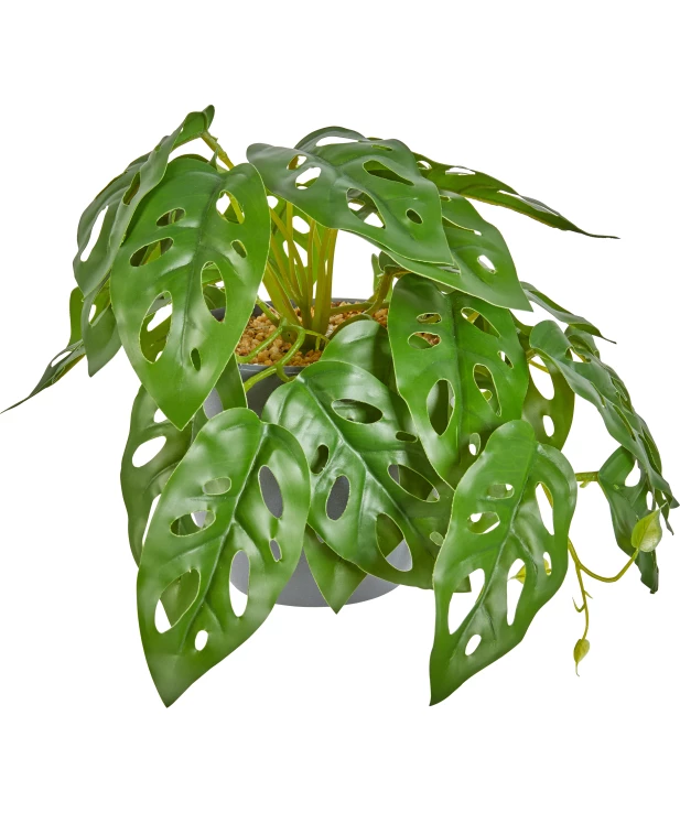 kunstpflanze-calathea-gruen-118265518070_1807_HB_H_EP_01.jpg