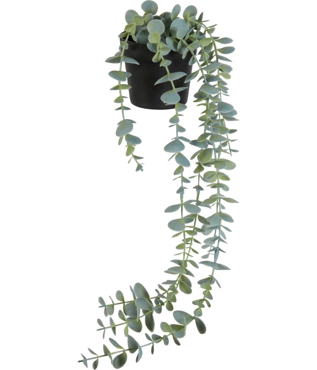 kunstpflanze-eukalyptus-gruen-118267318070_1807_HB_H_EP_01.jpg