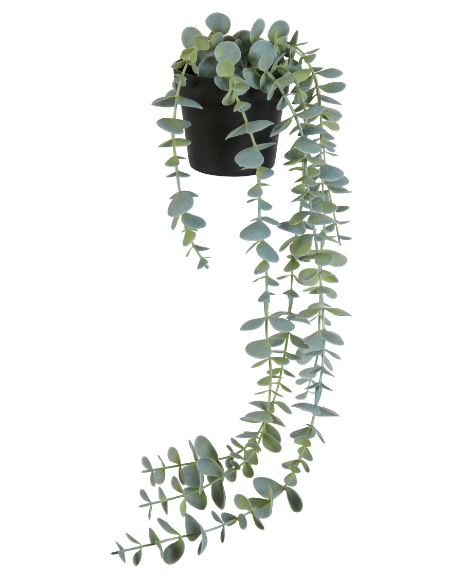 kunstpflanze-eukalyptus-gruen-118267318070_1807_HB_H_EP_01.jpg