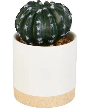 Kunstmatige cactus in een pot