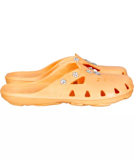 Clogs