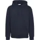 Sweater met capuchon