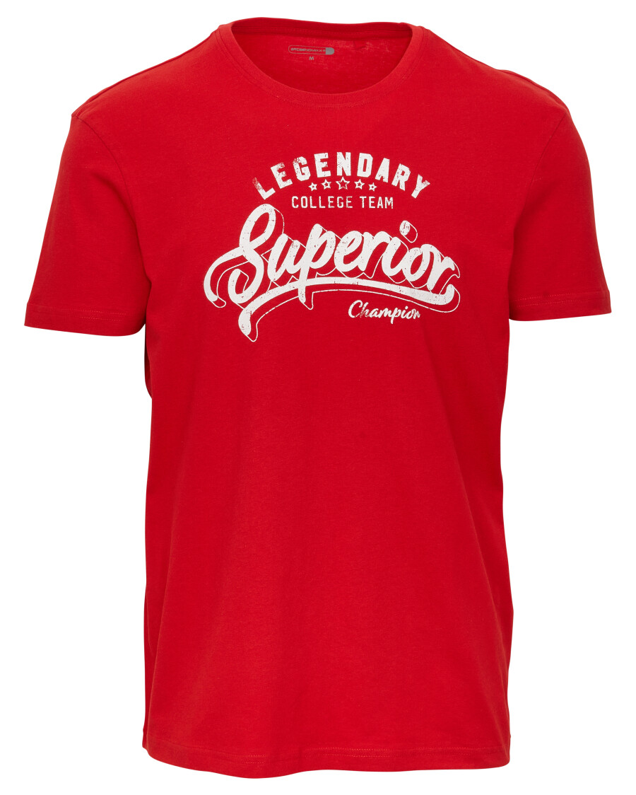 rotes-t-shirt-rot-118404015070_1507_HB_B_EP_01.jpg