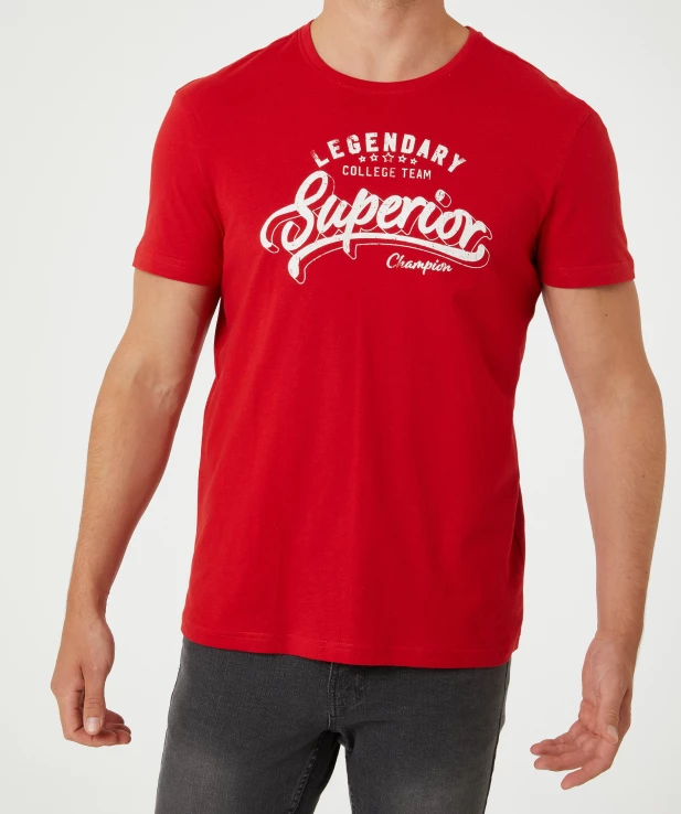 rotes-t-shirt-rot-118404015070_1507_HB_M_EP_01.jpg