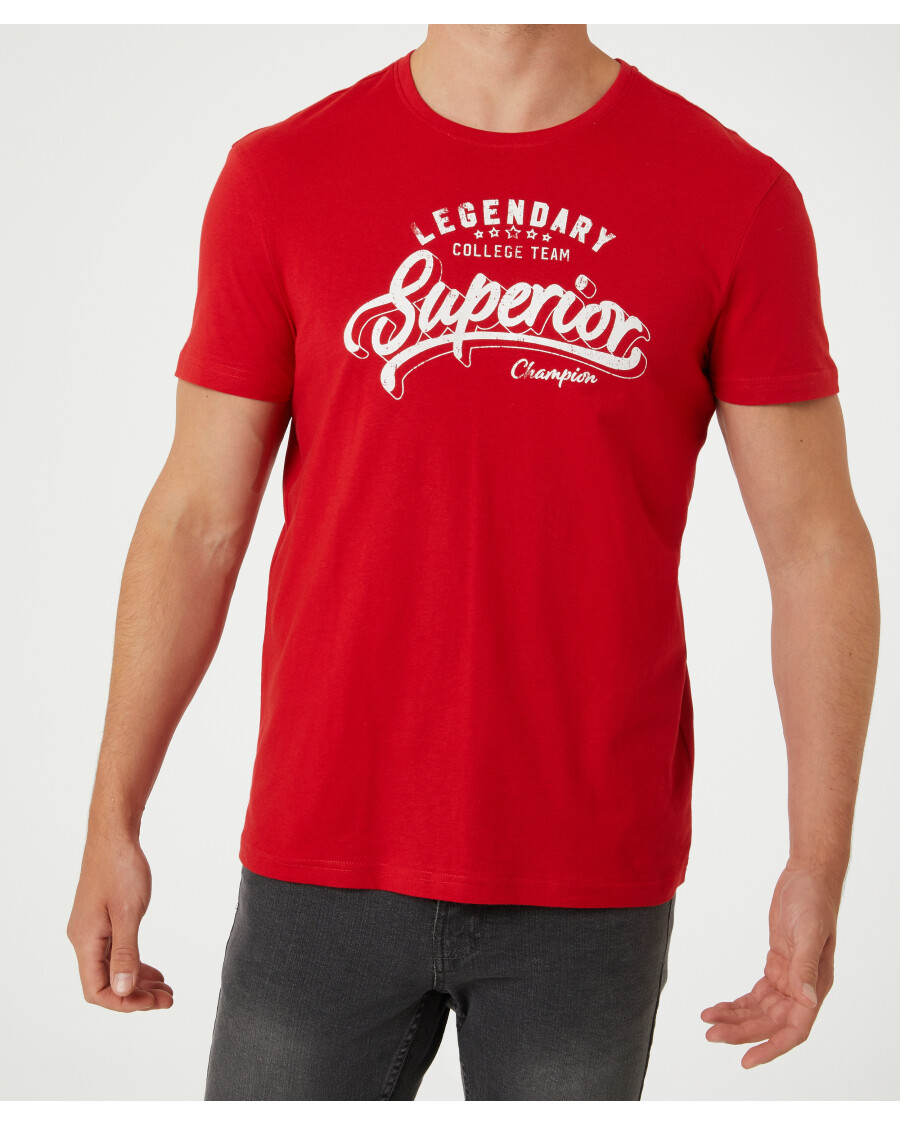 rotes-t-shirt-rot-118404015070_1507_HB_M_EP_01.jpg