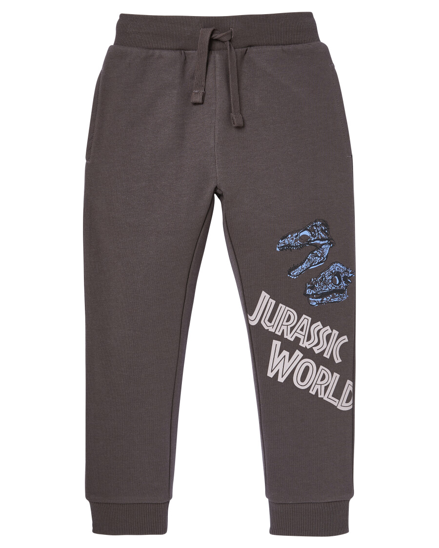 jungen-jurassic-world-jogginghose-grau-118445311070_1107_HB_L_EP_01.jpg