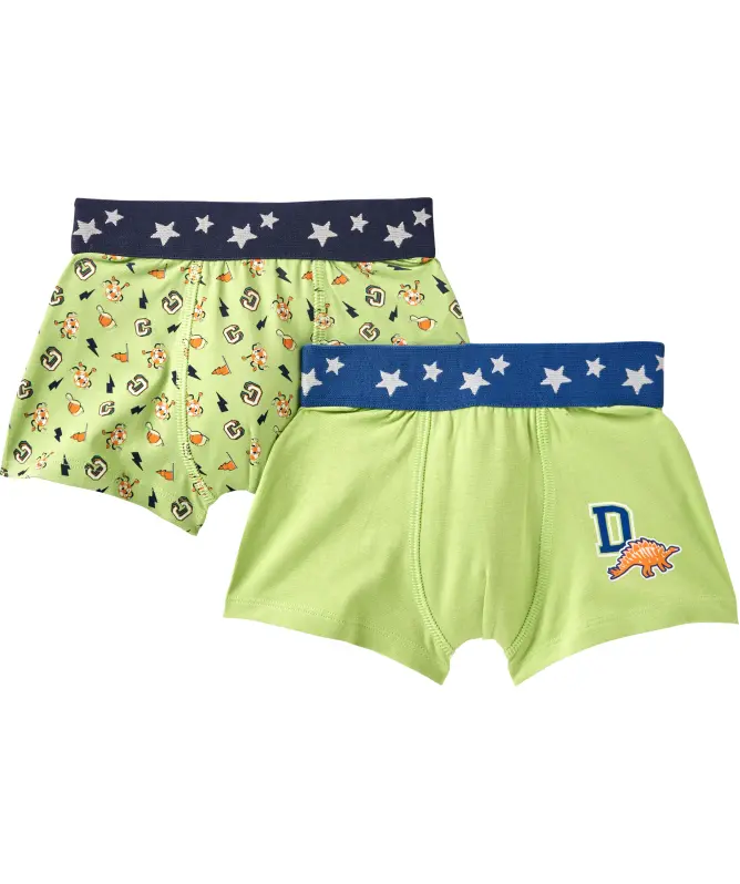 Boxershorts Dinosaurier