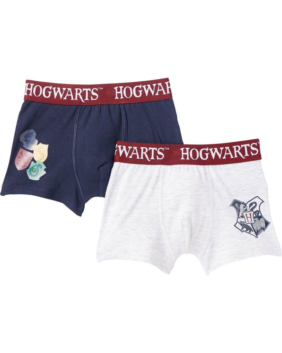 Retro boxerky Harry Potter šedá melírovaná