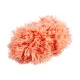 Fluffy Garn „Tina“