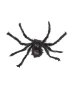 deko-spinne-halloween-schwarz-118607410000_1000_NB_H_KIK_01.jpg