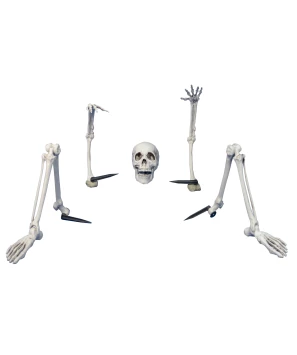 Halloween decoratief skelet