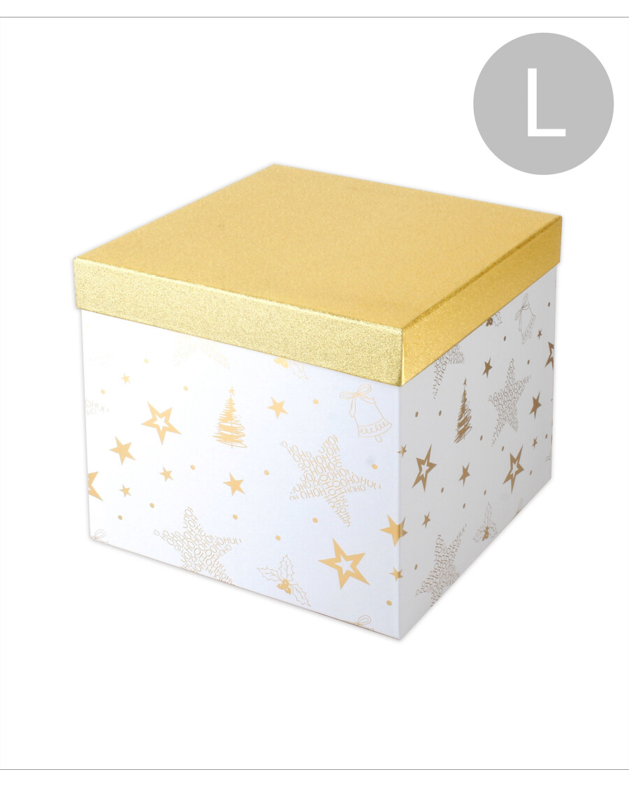 geschenkbox-weihnachten-gold-118629840510_4051_HB_H_KIK_01.jpg