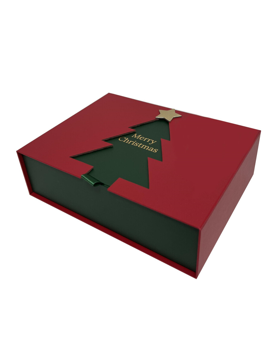 geschenkbox-weihnachten-rot-118931015070_1507_HB_H_KIK_01.jpg