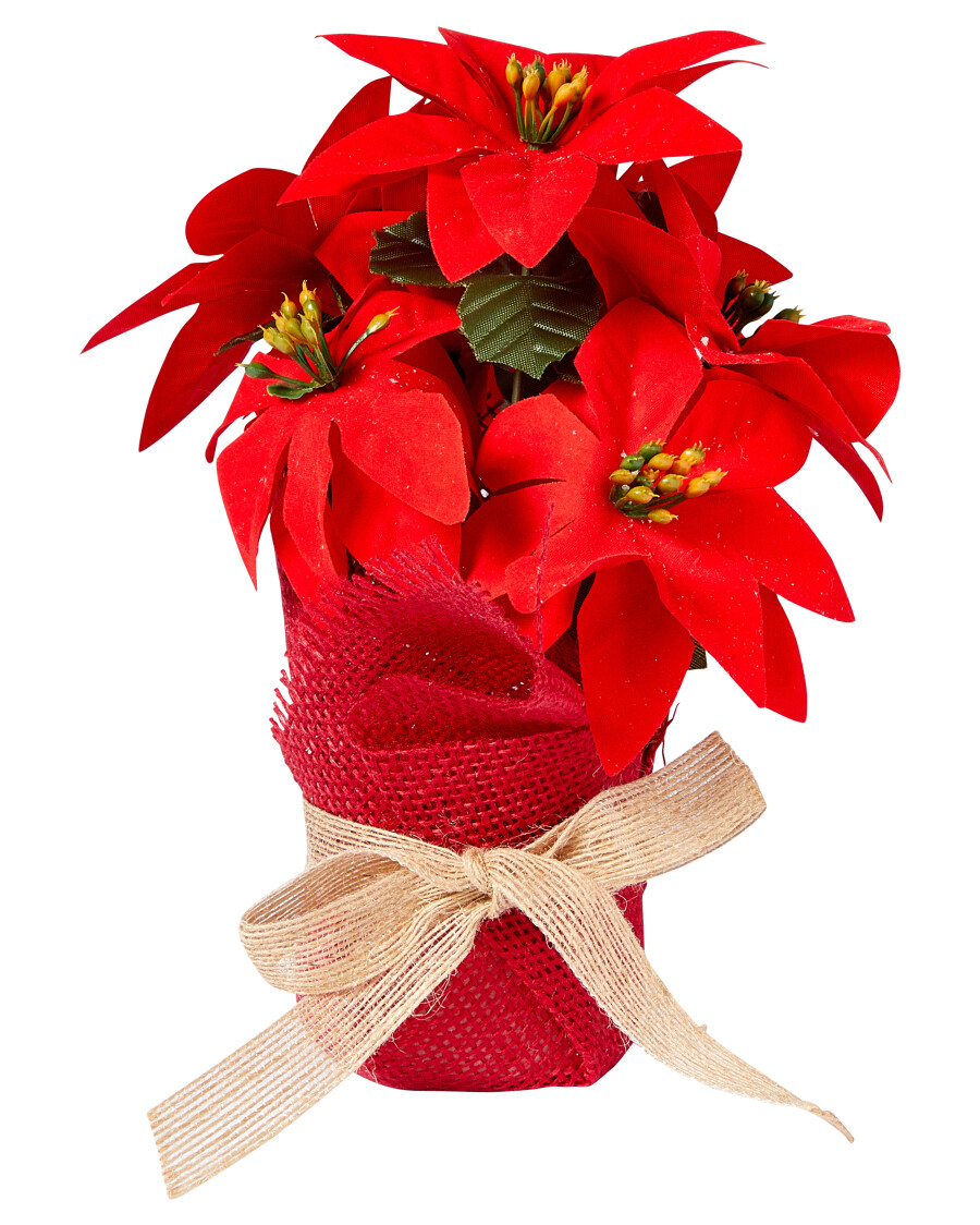 kunstblume-weihnachten-rot-118968915070_1507_HB_H_EP_01.jpg