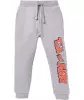 jungen-tom-and-jerry-jogginghose-grau-119062111070_1107_HB_L_EP_01.jpg